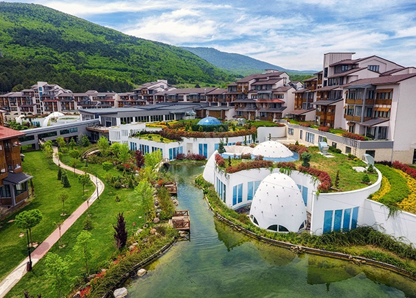 Cevizlibağ Yeniyuzyıl Üniversitesi